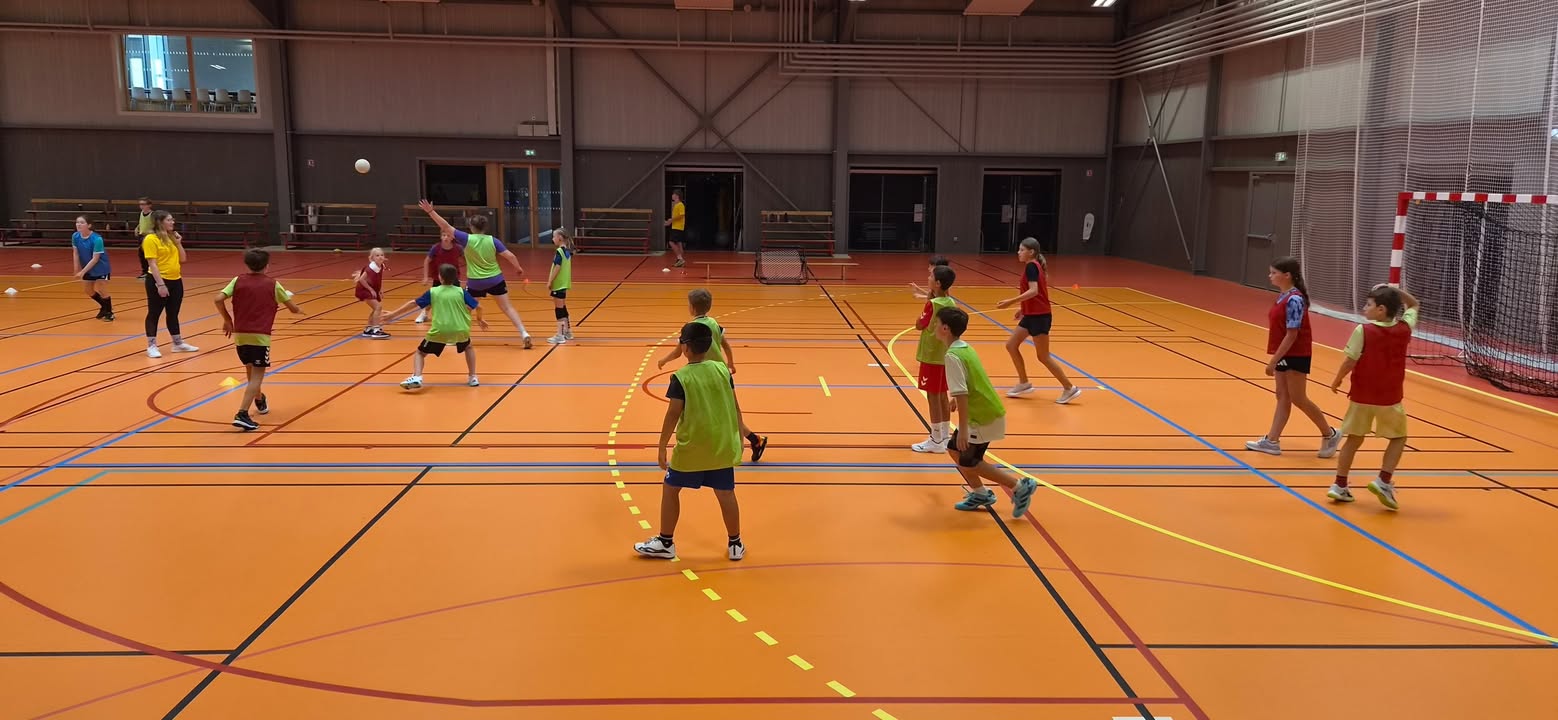 HDH - Hochfelden Dettwiller Handball