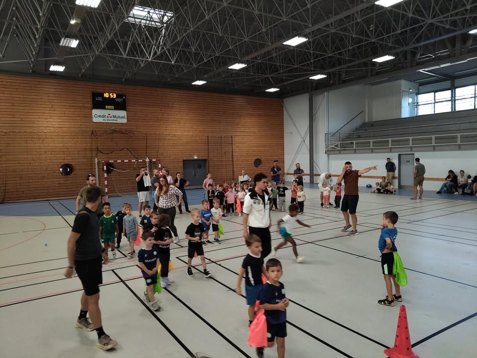 HDH - Hochfelden Dettwiller Handball