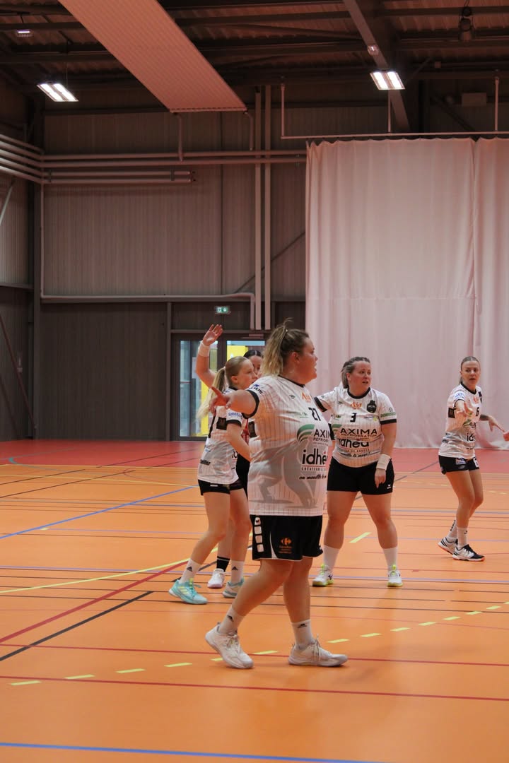 HDH - Hochfelden Dettwiller Handball